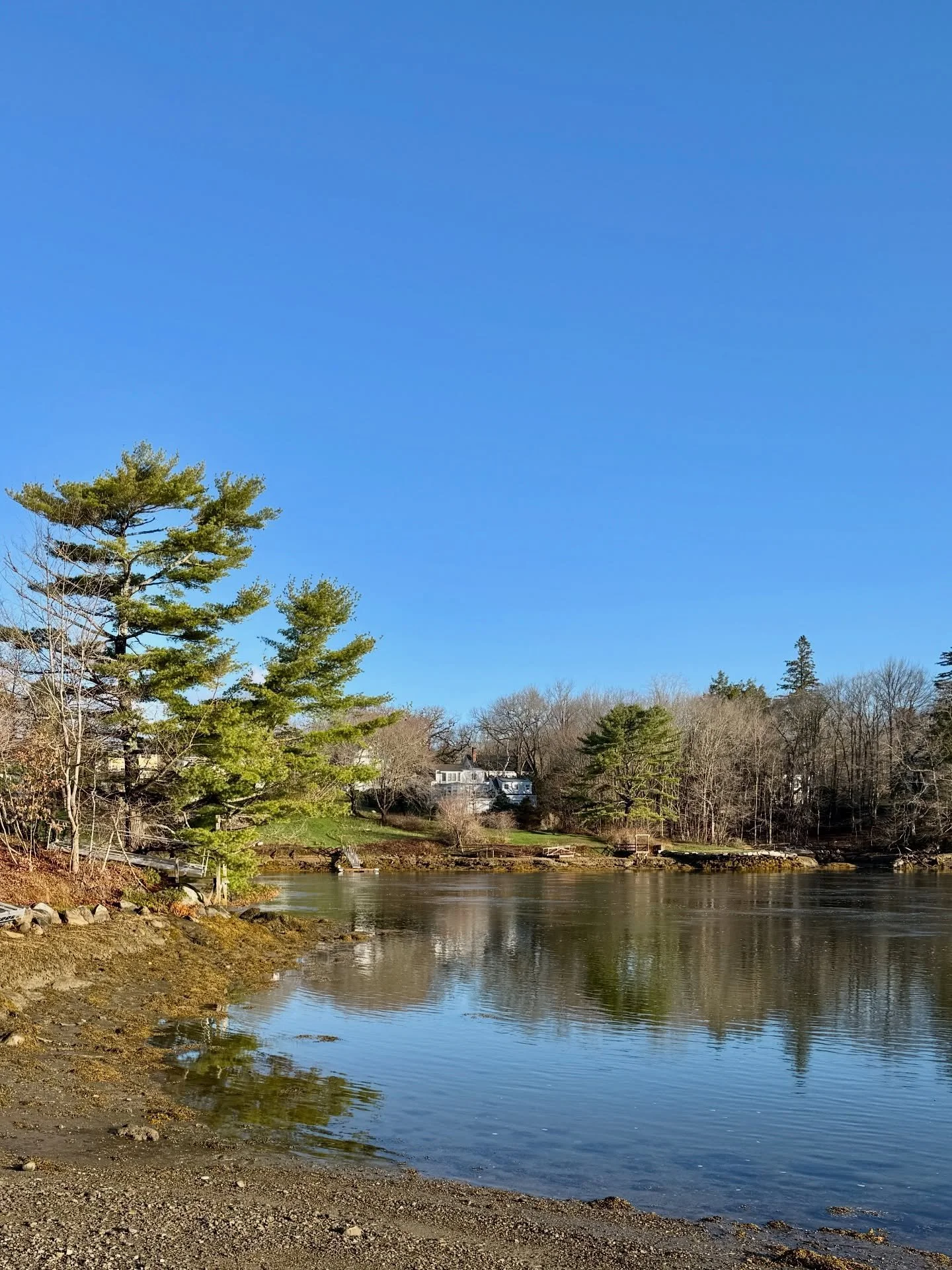 Bluebird skies! Happy Monday!