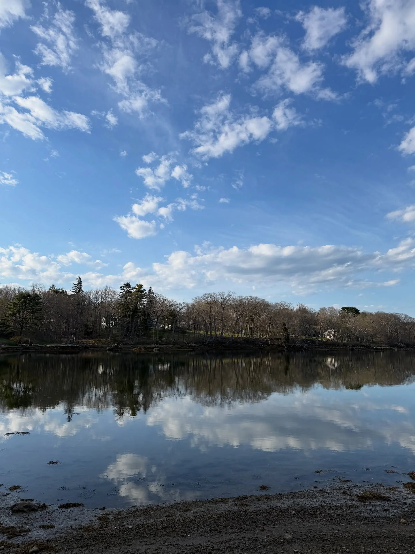 Happy to end my day back home! Thank you @artridercrafts and everyone who came and supported me at spring Crafts at Lyndhurst. I appreciate you all! 

#damariscotta #lovemaine #maineismyhappyplace