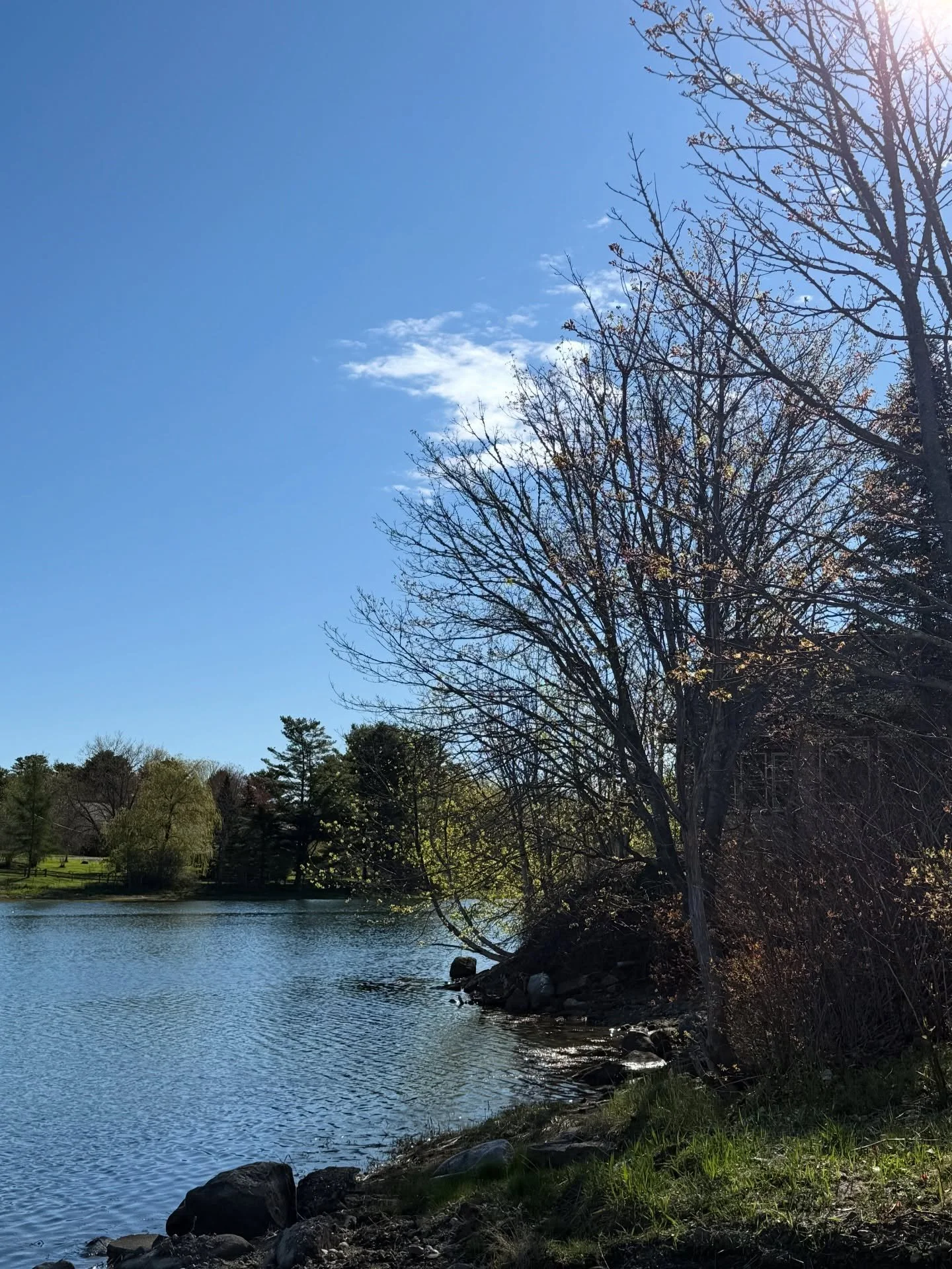 Morning walk back hime after a great weekend show in Philly. Thank you @rosesquared for everything! 
#grateful