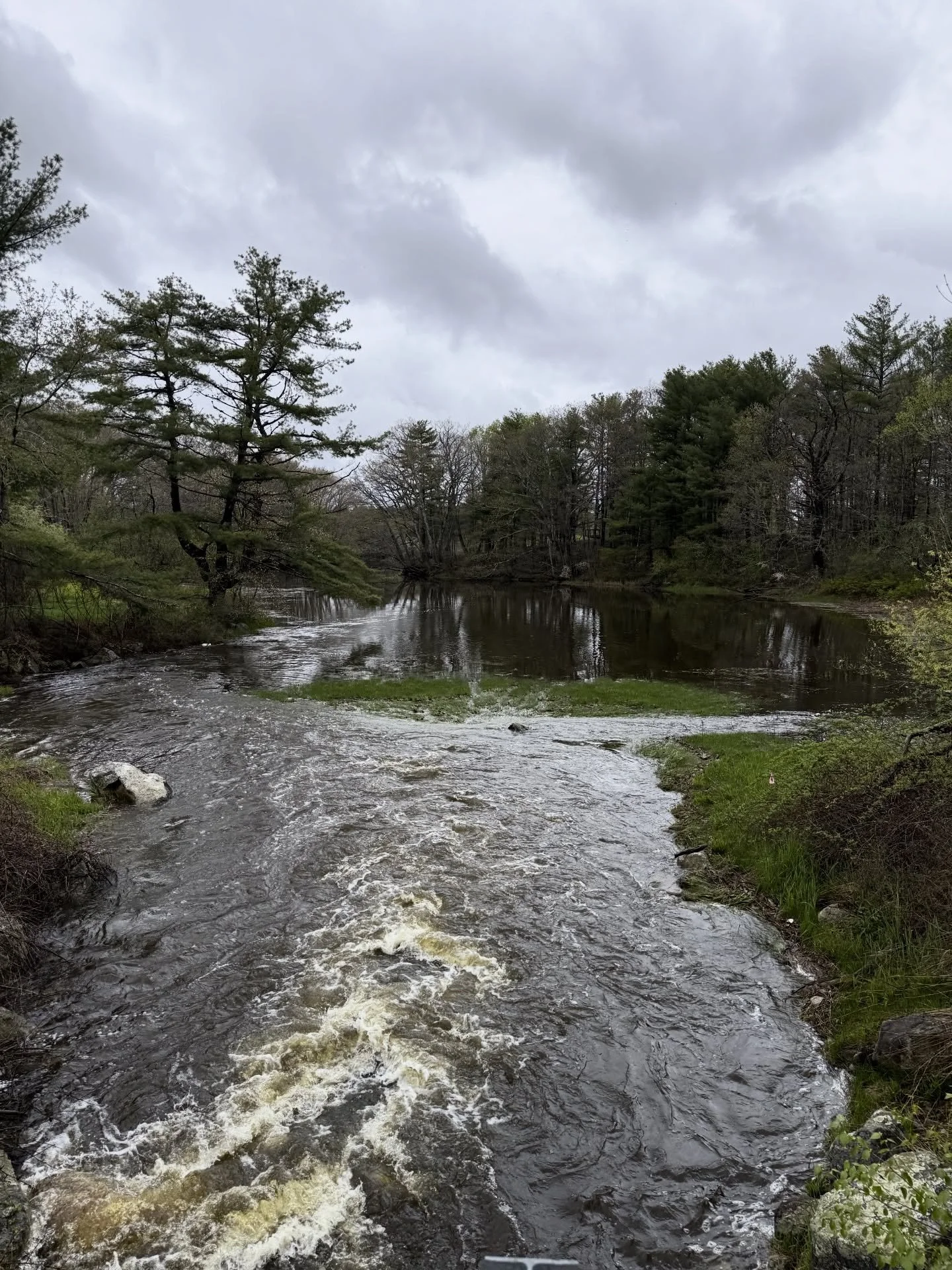 A walk between the raindrops to see the rushing waters at a favorite view. 
Happy Friday!