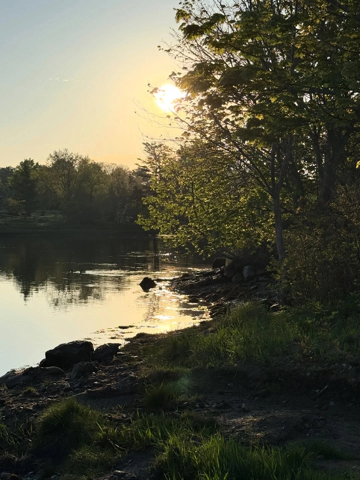 Hello Sun! Morning walk around town. 
#damariscotta