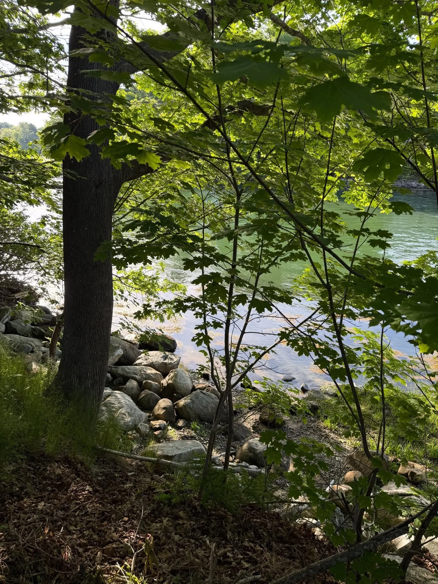 Sweet little spot to enjoy! 
#alongtheriver #damariscottariver