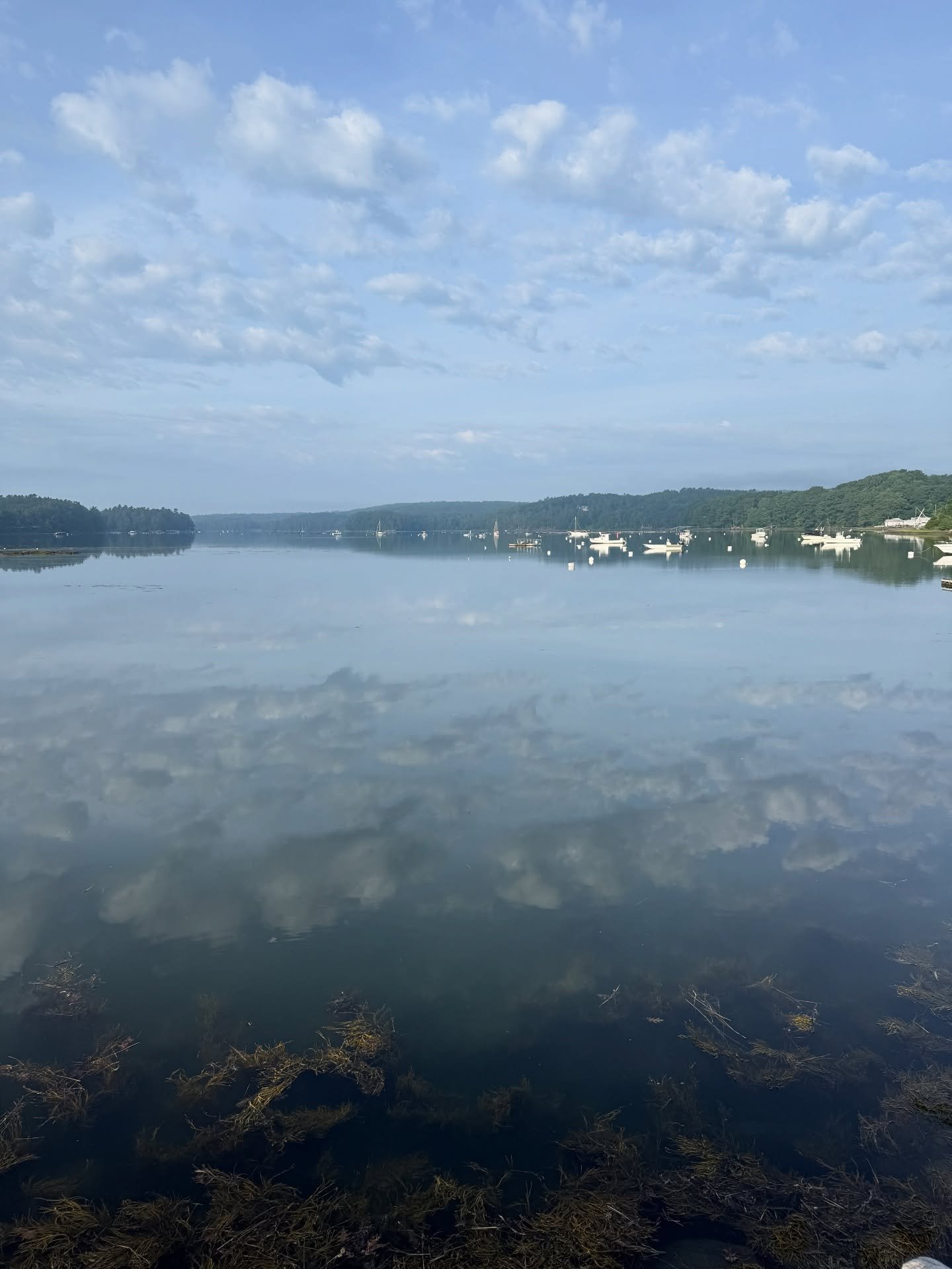 Reflections and taking time. Beautiful morning! 💕