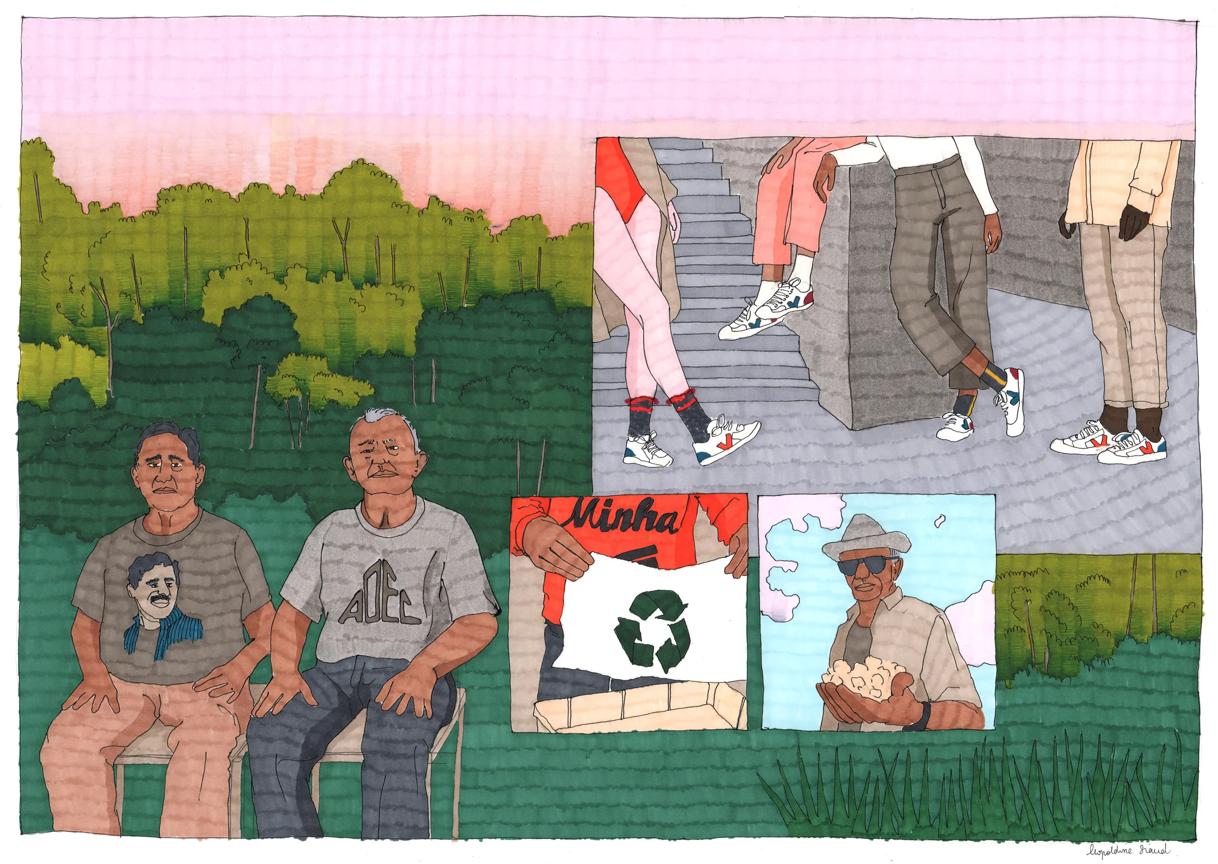 VEJA X BELLEROSE