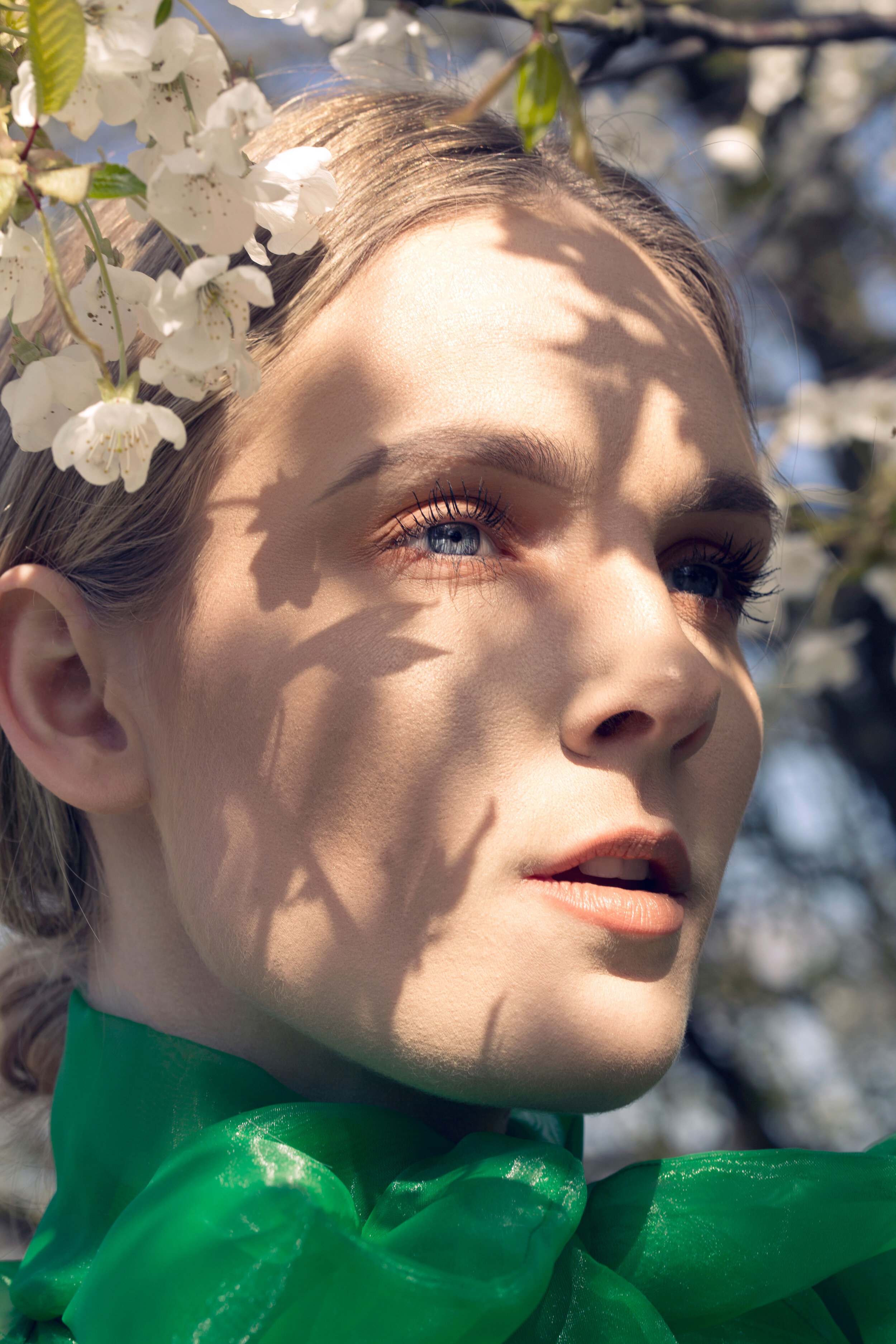 flower-series_2.jpg