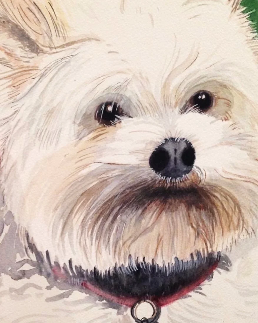 Puppy love 🐩
(Present for my dear friend @anjanakarroy)