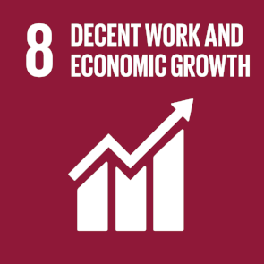 8 - Decent Work.png