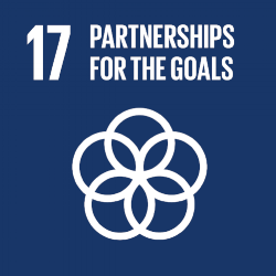 17 - Global Partnerships.png