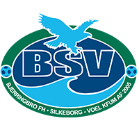 BSV logo.png