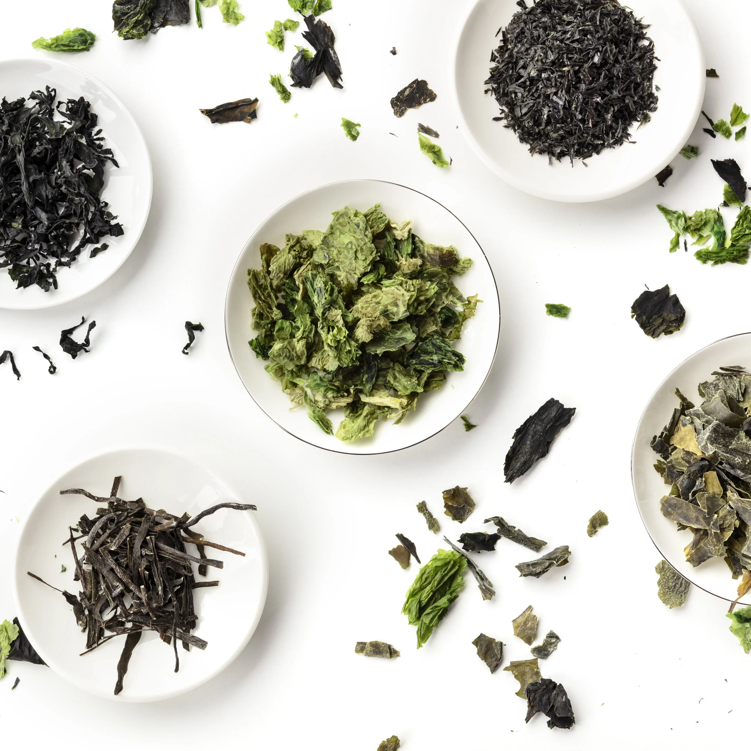 The Seaweed Potential