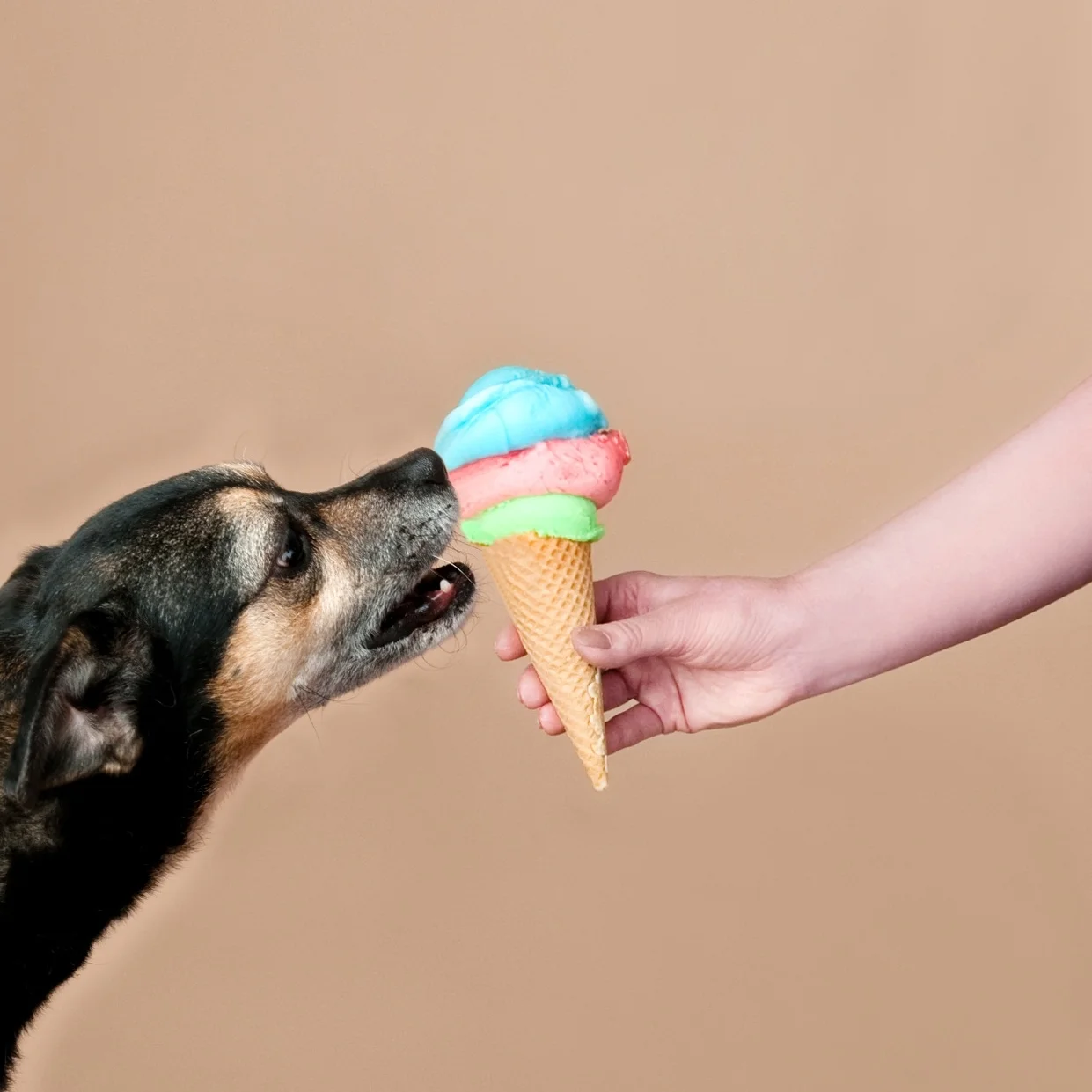 dog-ice-woman-purple.jpg
