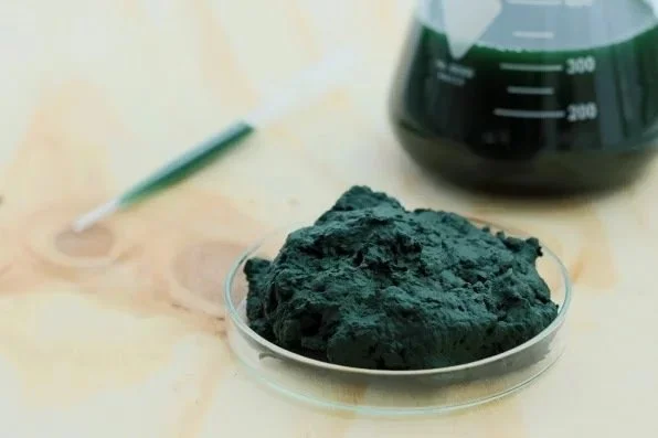 2017-05-31HopeYouLikeAlgae.jpg