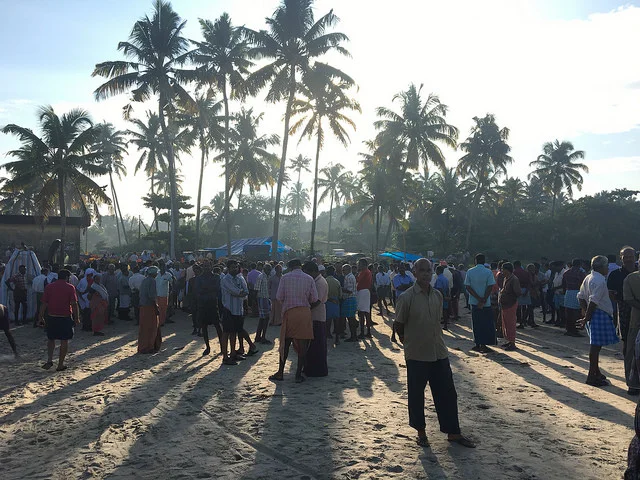 The fish market on the coast of Kerala, India. Photo by Larissa Zimberoff