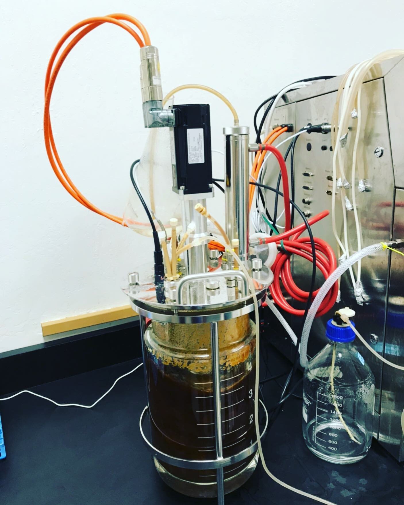 What&hellip; is&hellip;.this?? It&rsquo;s a mini, lab-scale bioreactor. What&rsquo;s um that?? It&rsquo;s a way to grow &ldquo;food.&rdquo; You feed it nutrients and it grows. The &ldquo;it&rdquo; here can be a variety of living organisms. Koji-based
