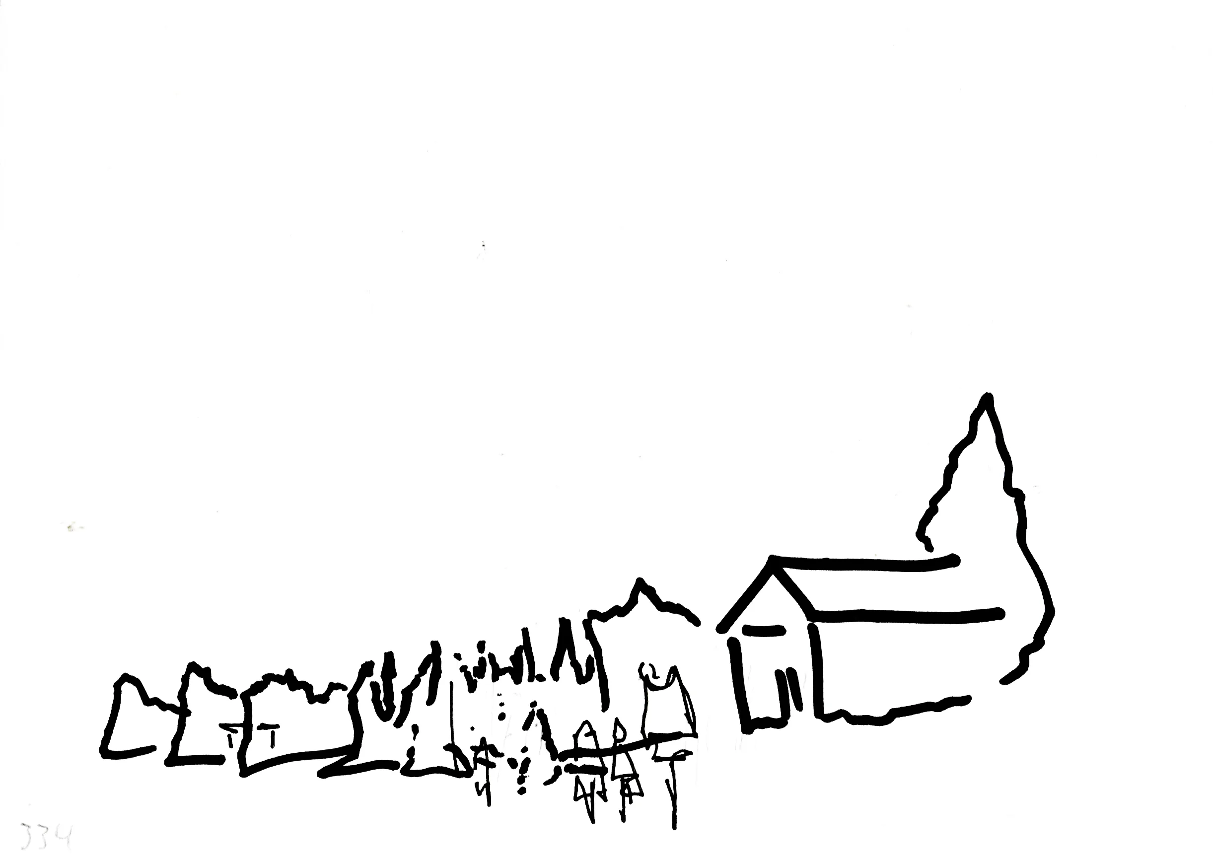 334.jpg