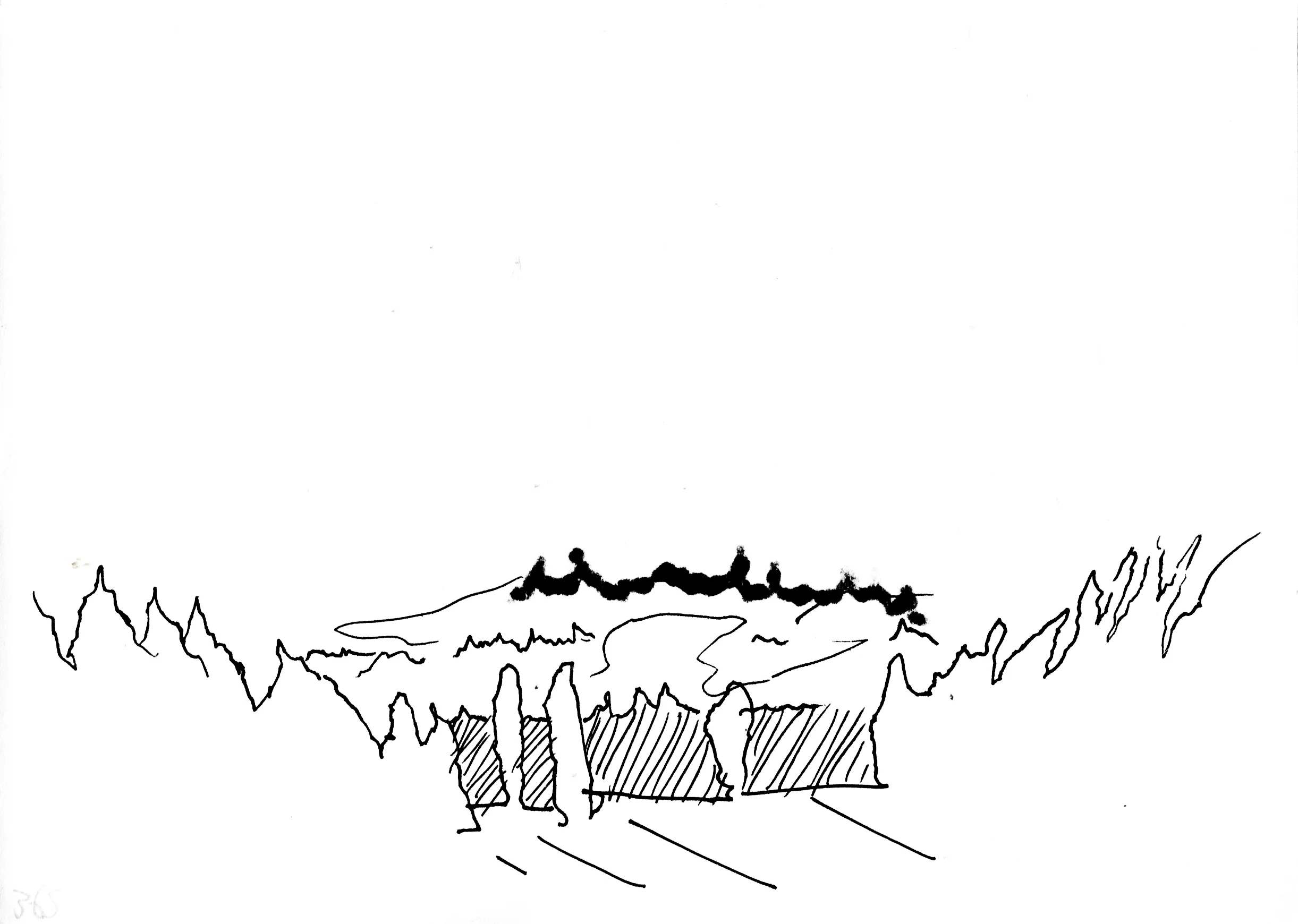 365.jpg