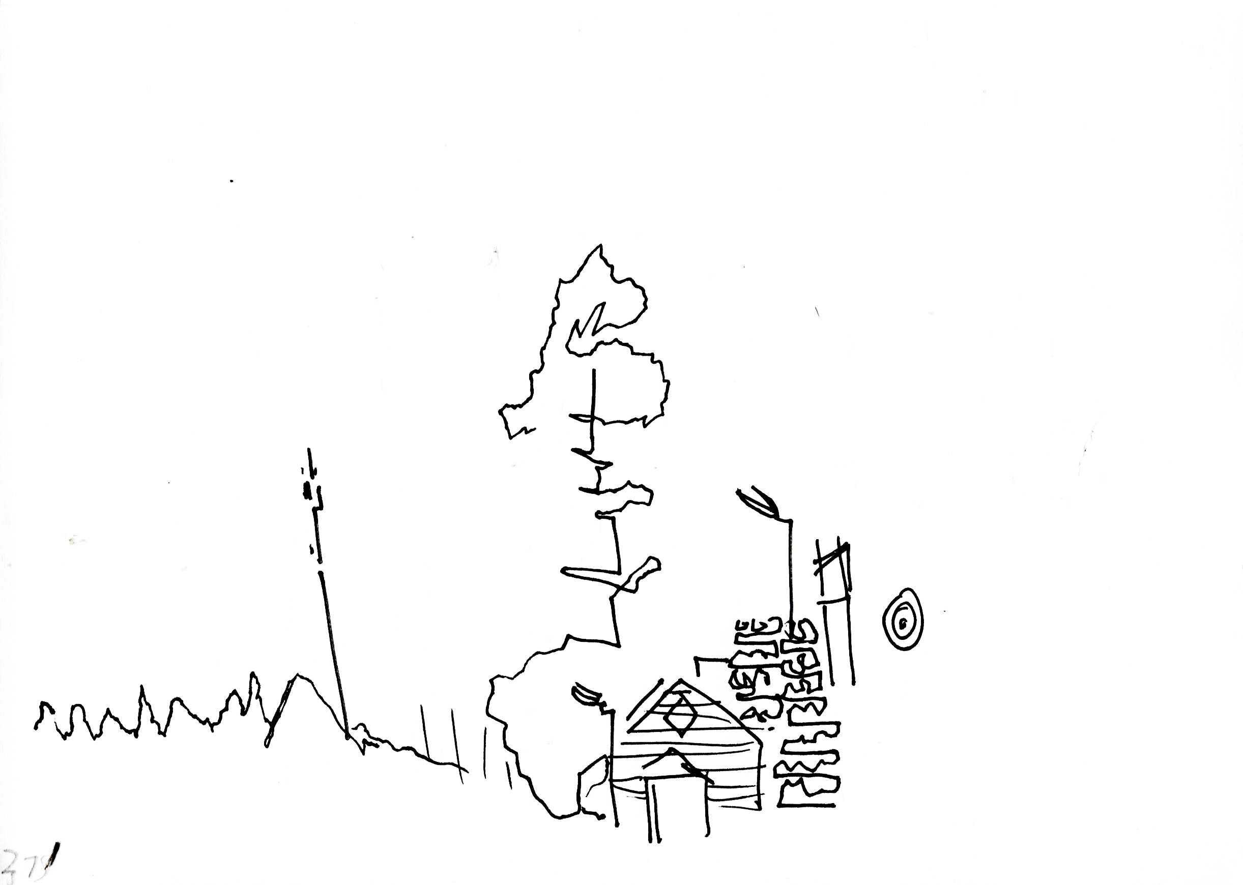377.jpg