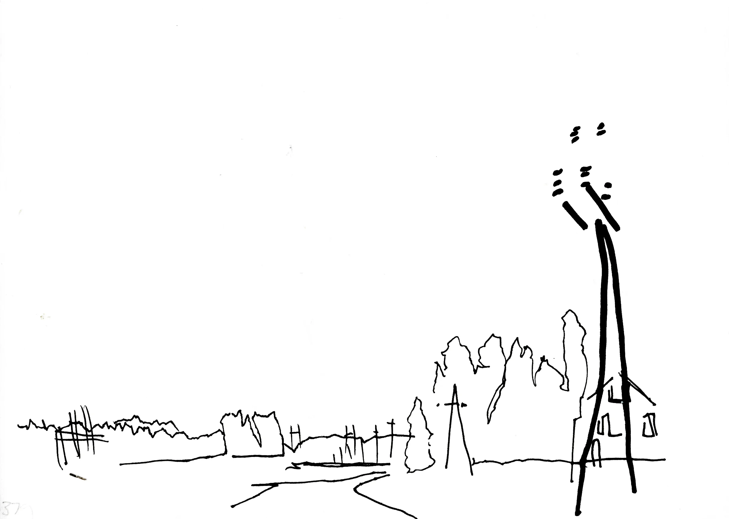 379.jpg