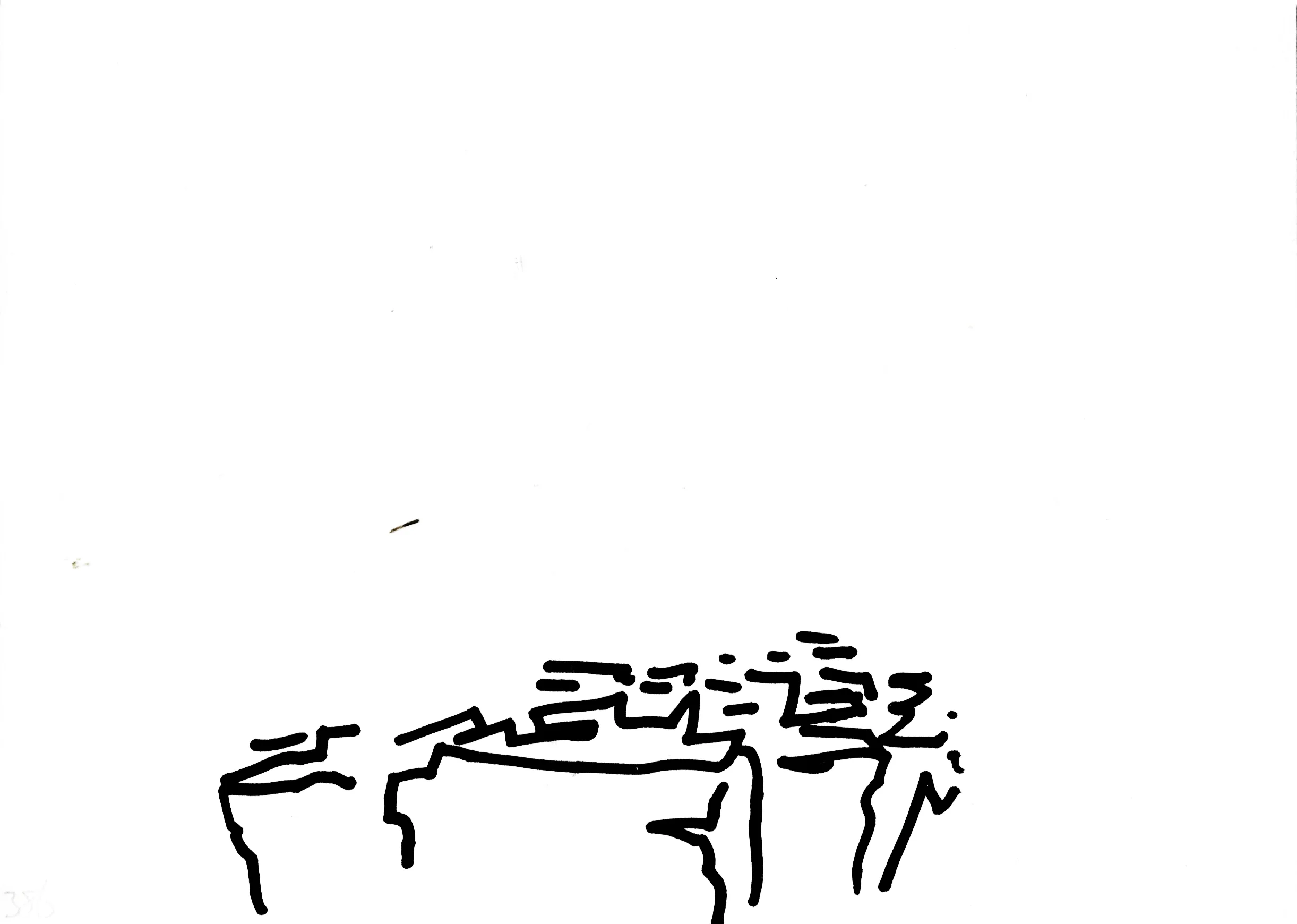 386.jpg