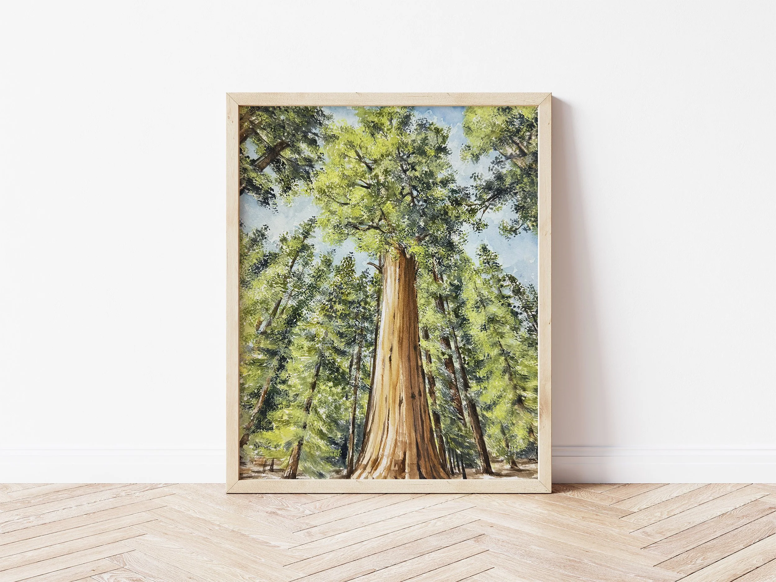 framed sequoia 2.jpg