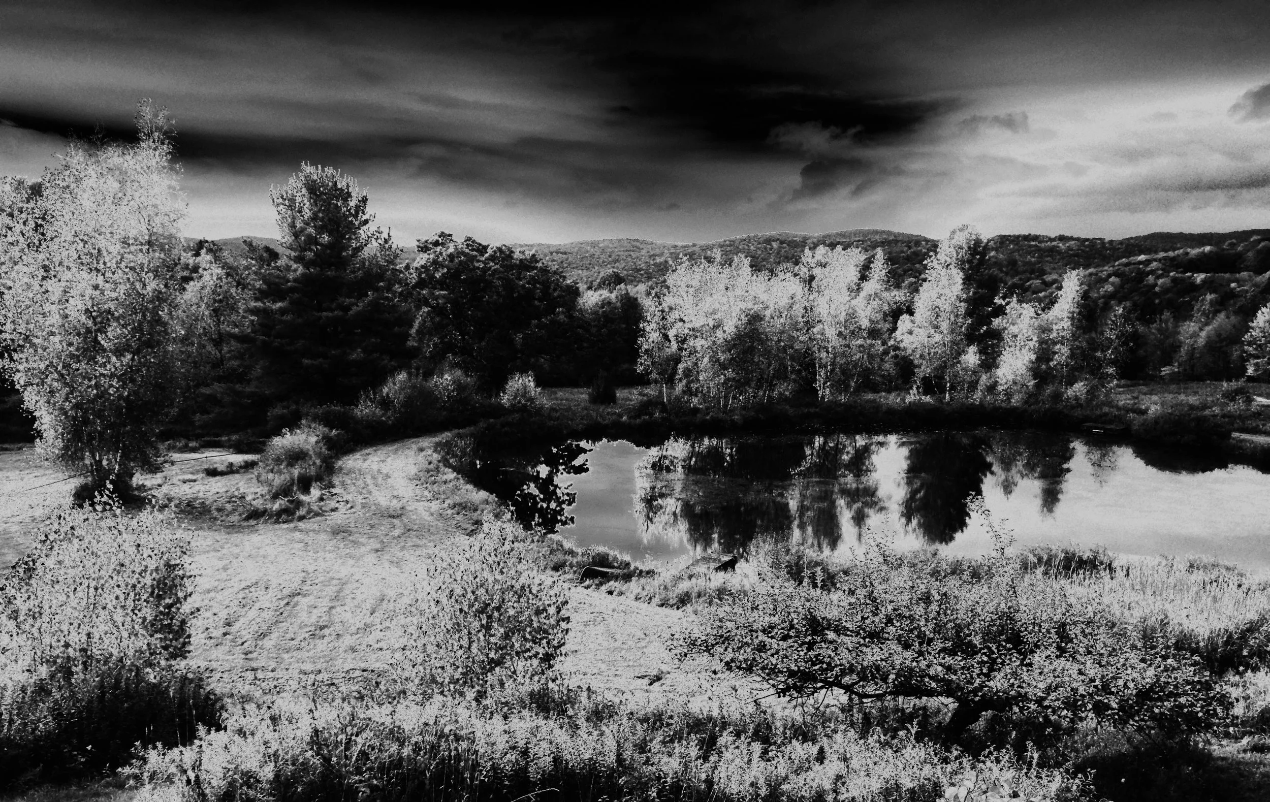 pond solarize 2copy.jpg