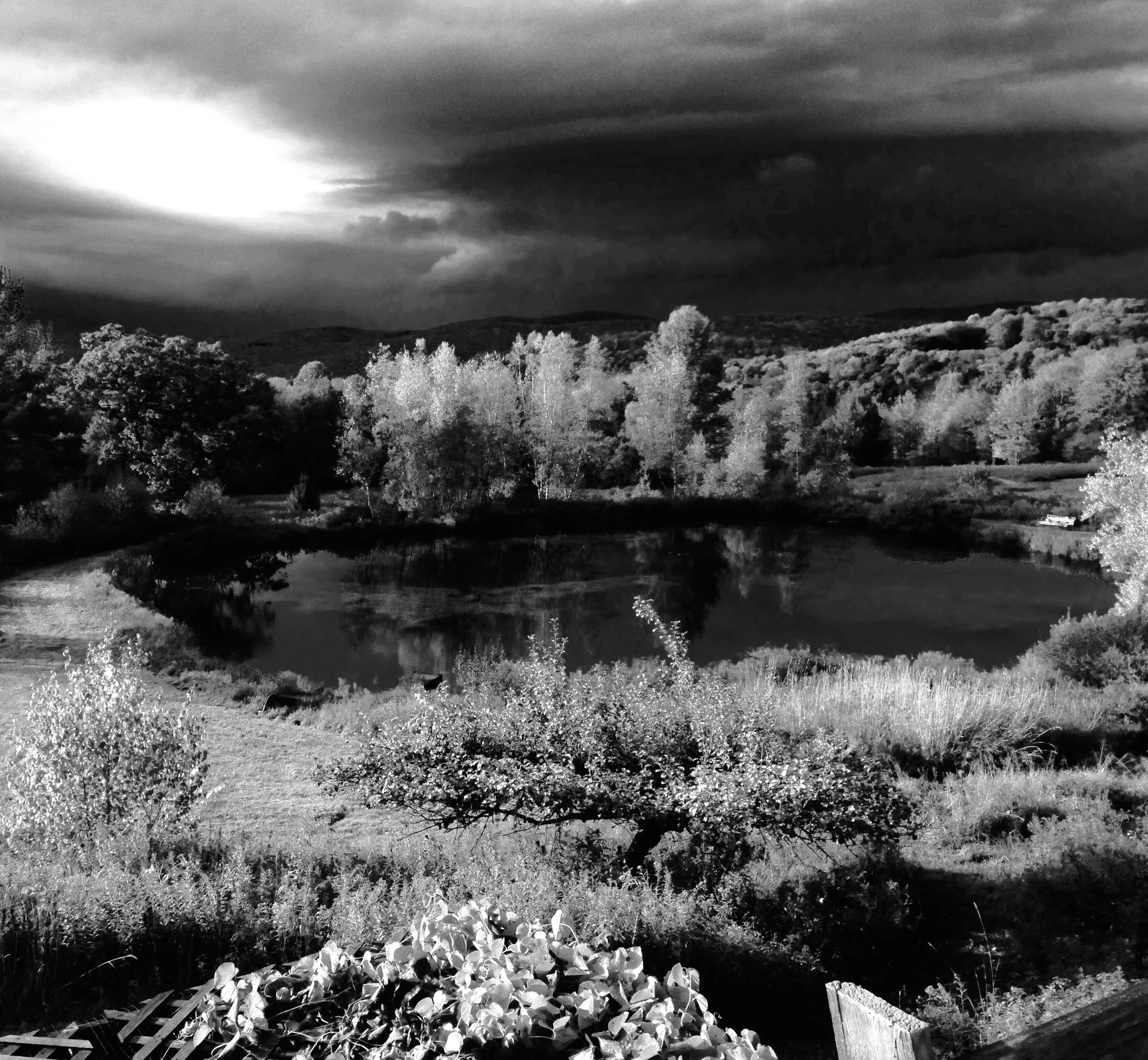 Pond Solar