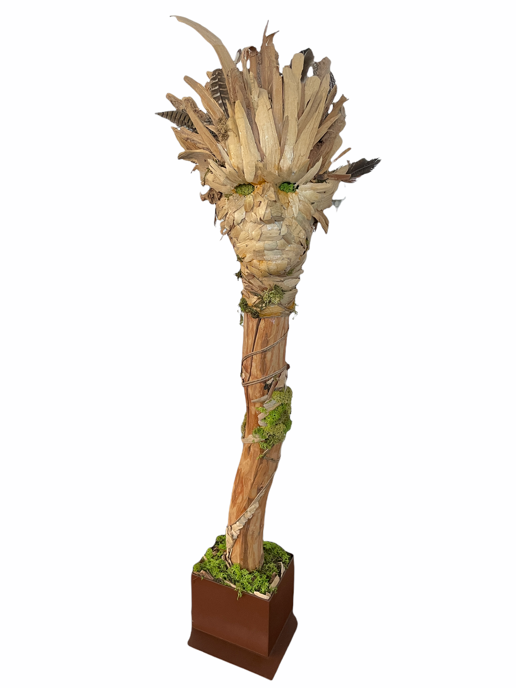Groot 