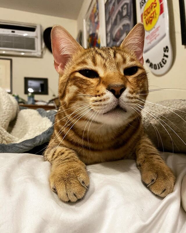 call me boop me if u wanna reach me