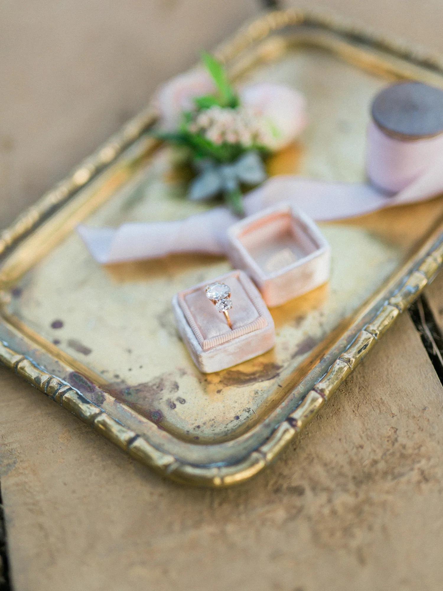 DanielleGirouxPhotography_Nashville_Cedarwood0C6A8494.jpg
