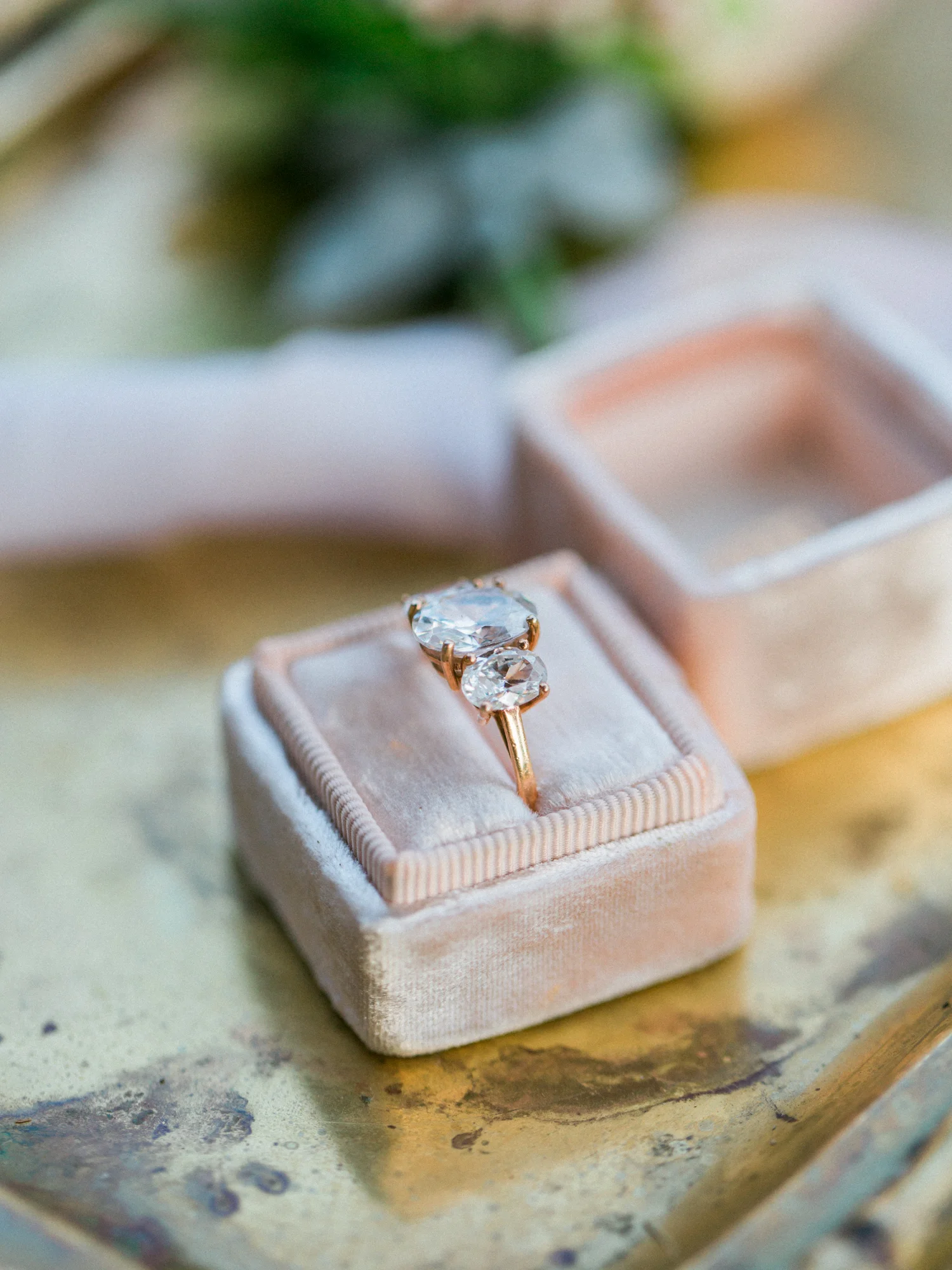 DanielleGirouxPhotography_Nashville_Cedarwood0C6A8495.jpg