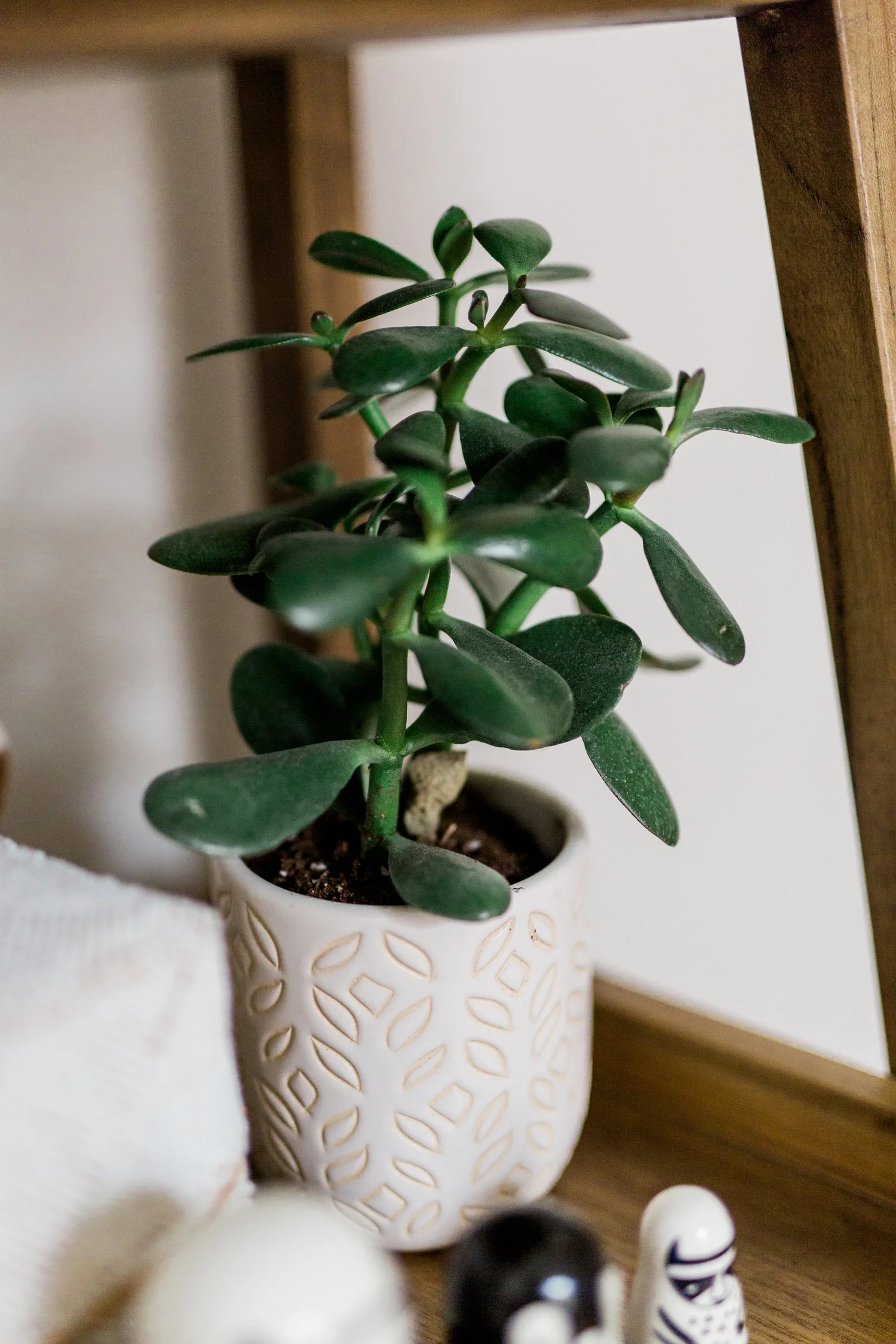 DanielleGirouxPhotography_KarenSpelliscy_InteriorLifestyleSession2397.jpg