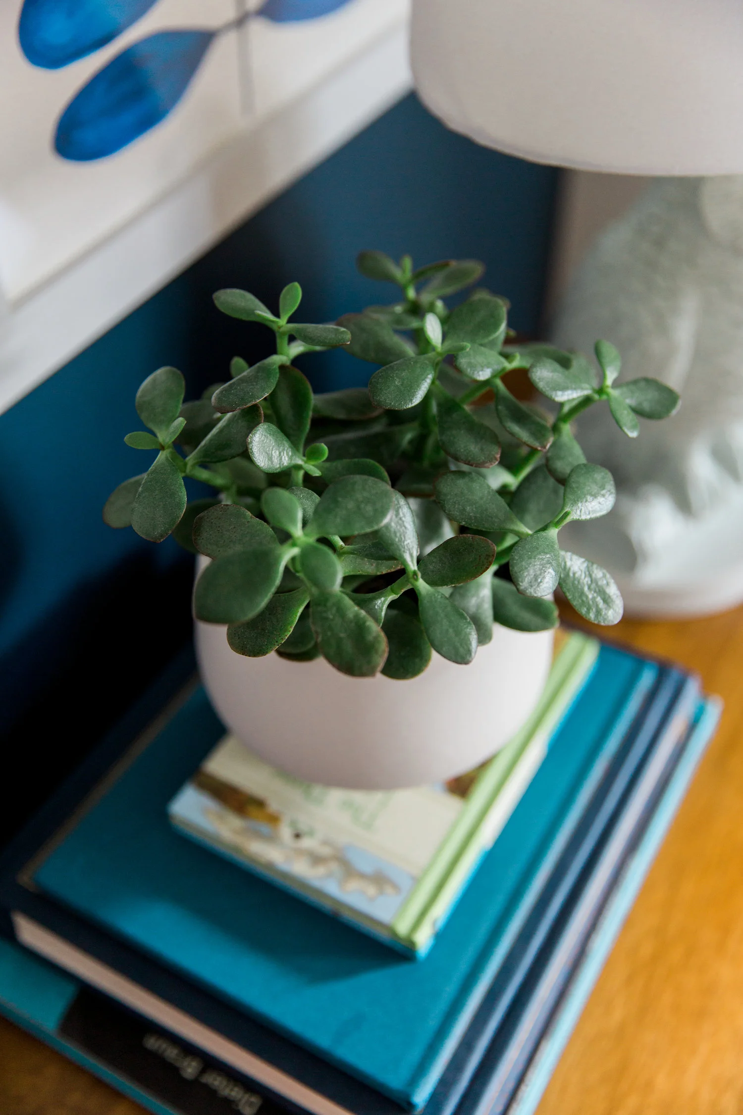 DanielleGirouxPhotography_KarenSpelliscy_InteriorLifestyleSession2439.jpg