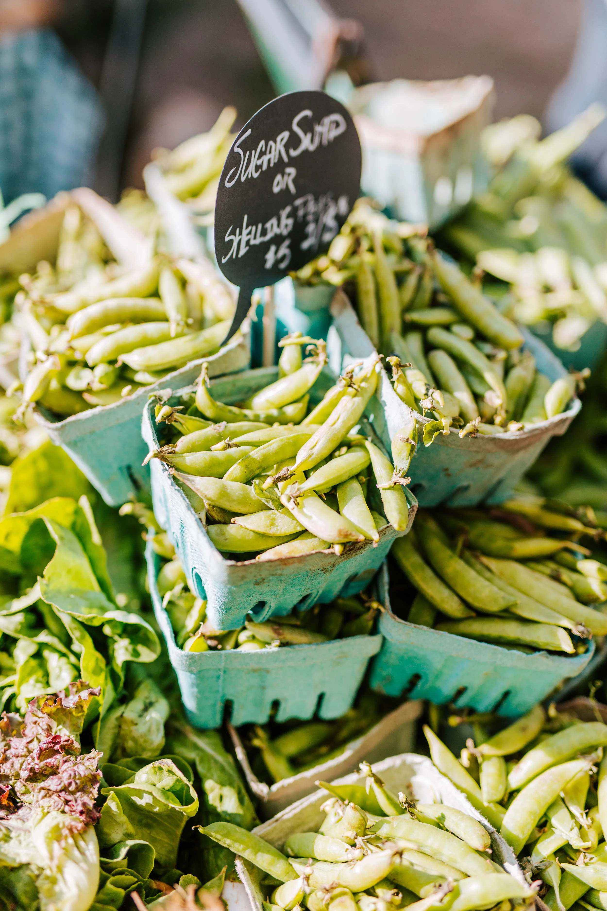 Amir-Danielle-Photography_Honeybee_Meals_Content_Creation_291.jpg