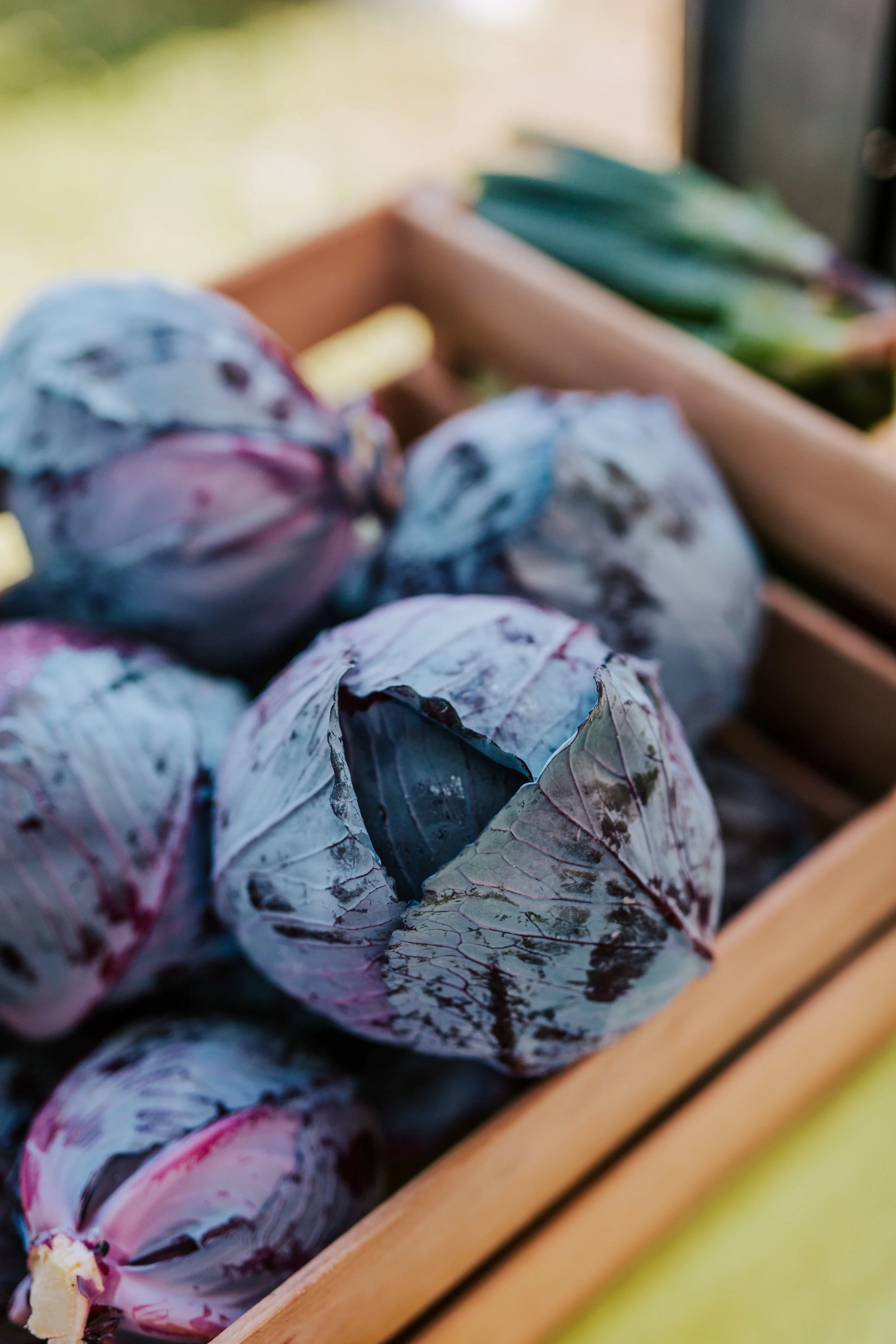 Amir-Danielle-Photography_Honeybee_Meals_Content_Creation_296.jpg