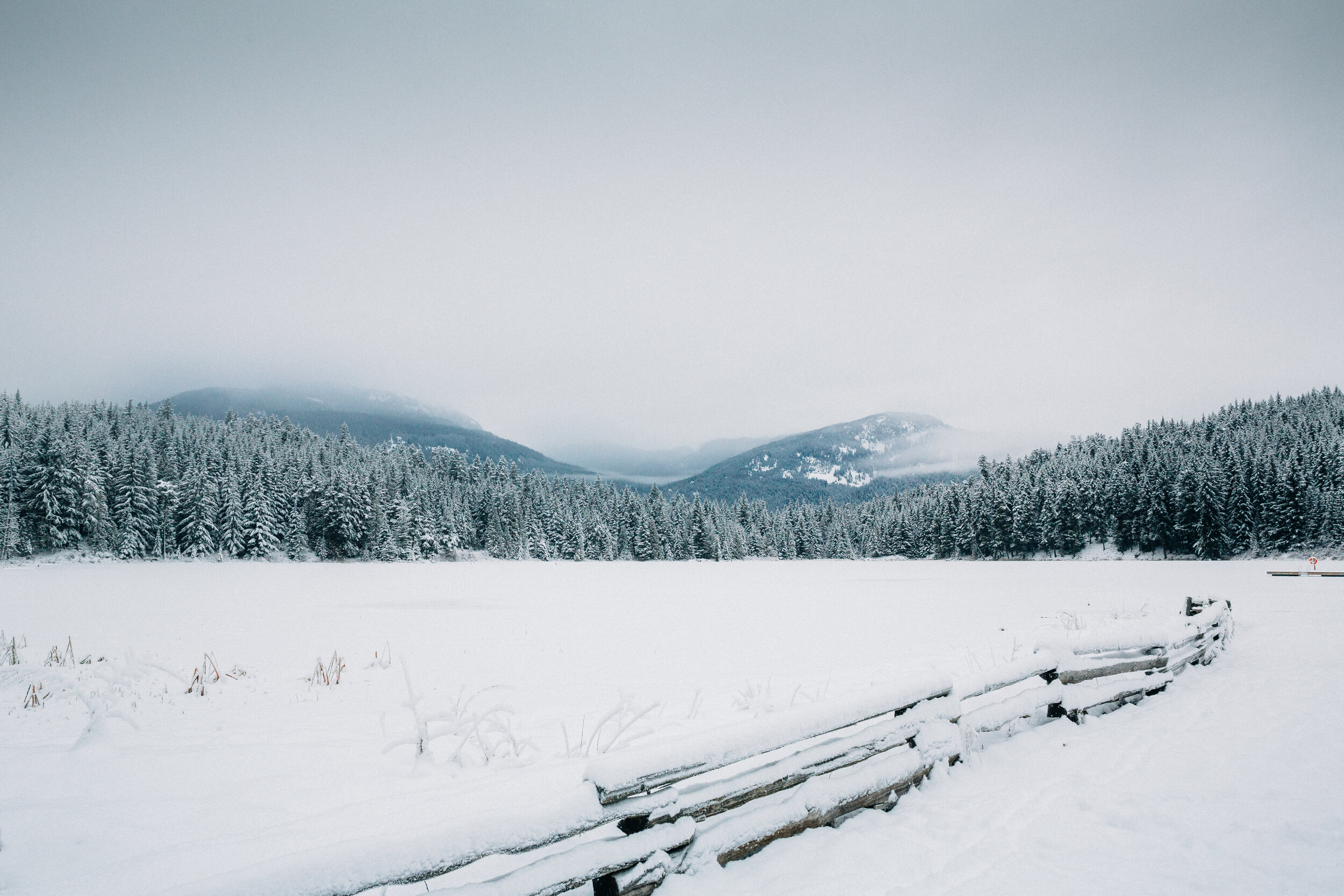 Amir & Danielle Whistler Lost Lake Engagement Session Location S