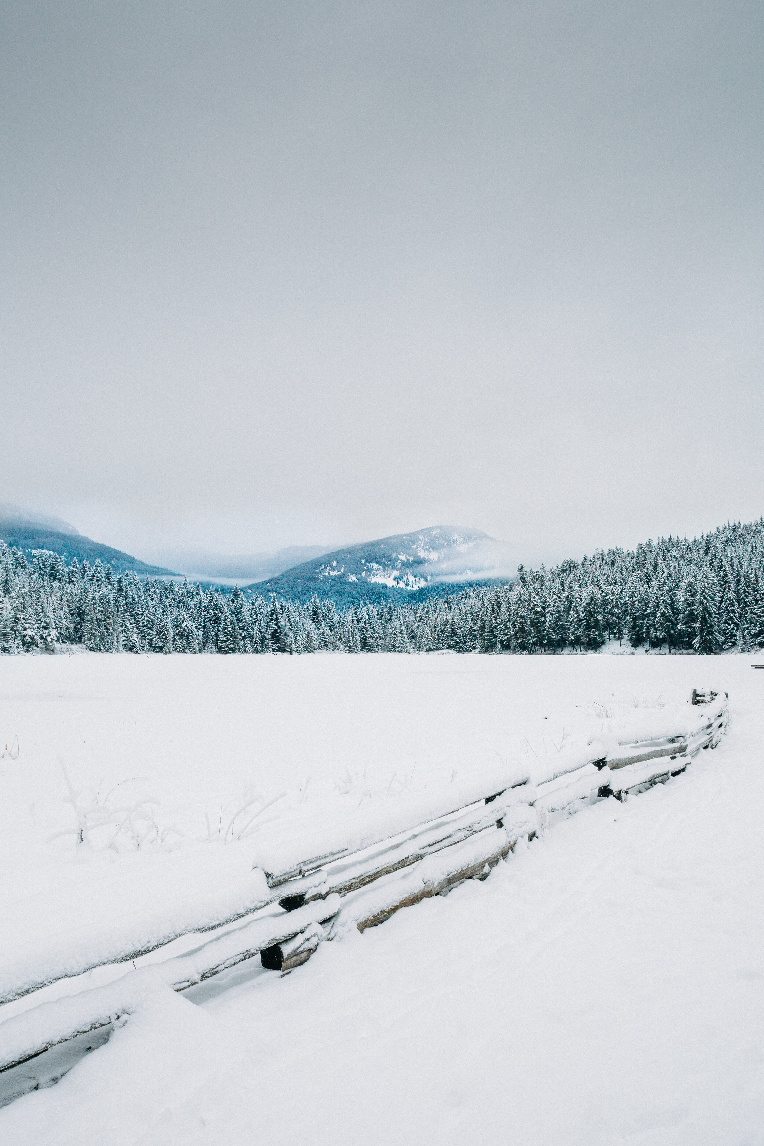 Amir & Danielle Whistler Lost Lake Engagement Session Location S