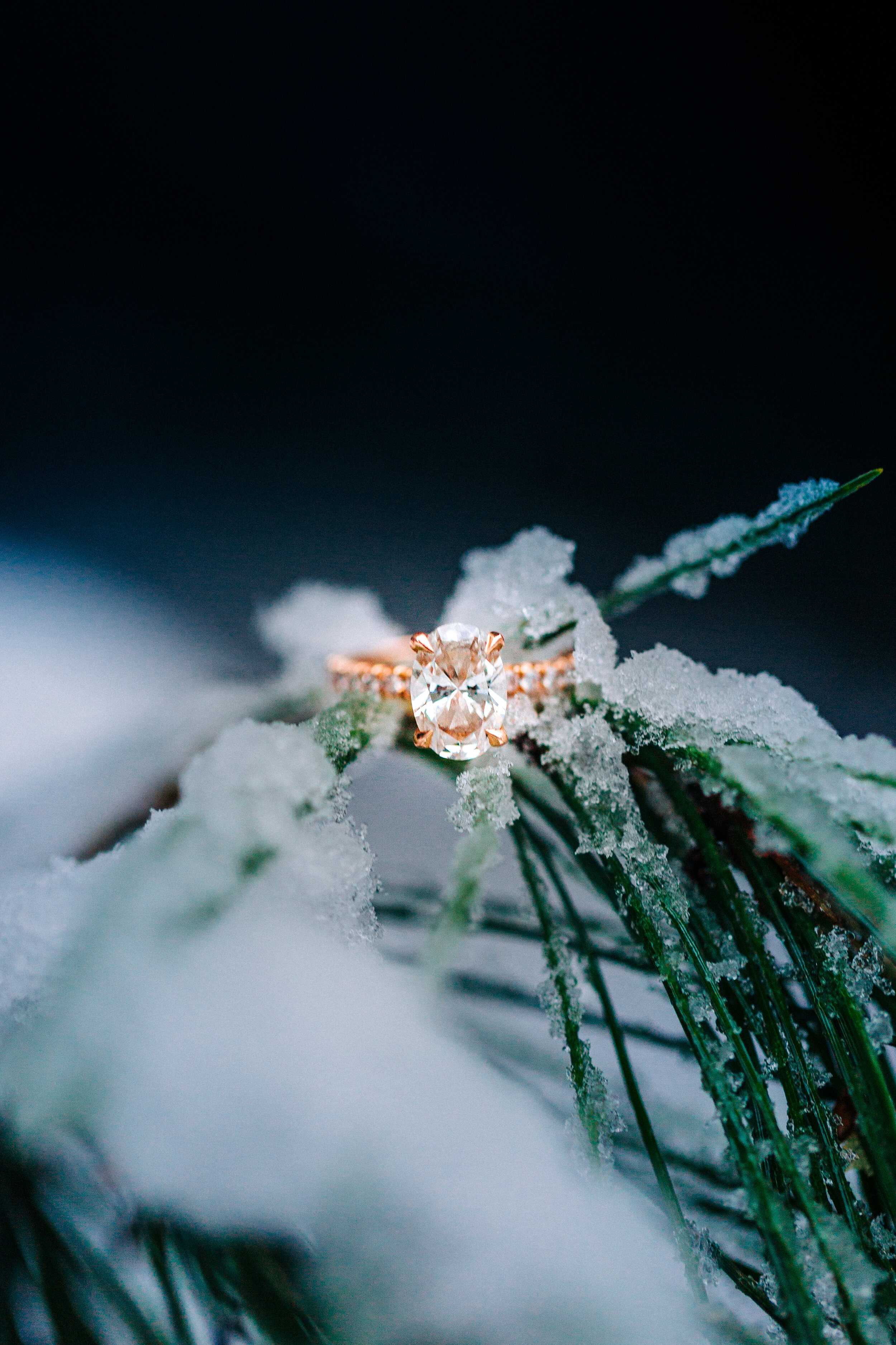 Amir-Danielle-Whistler-Engagement-Photography-Session-Lost-Lake-Shannon-Harrison-0410.jpg