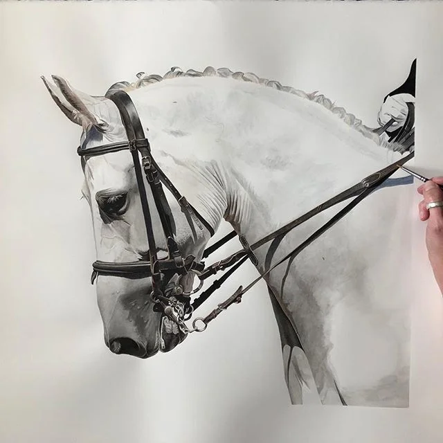 For all you horse lovers out there, this one&rsquo;s for you! For this one I only used about 3 colors but it was all about tone. #horse #animals #whitehorse #dressage #watercolor #watercolorpainting #hyperrealism #bridle #art #artist #painting #white