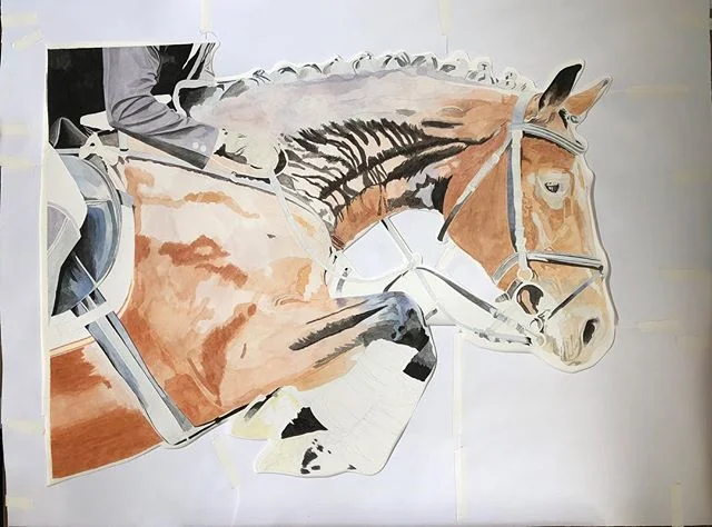A WIP that has been so challenging but love to stretch myself. #watercolorpainting #watercolor #hyperrealism #horse #jumpinghorse #riding #equestrian #art #artist
