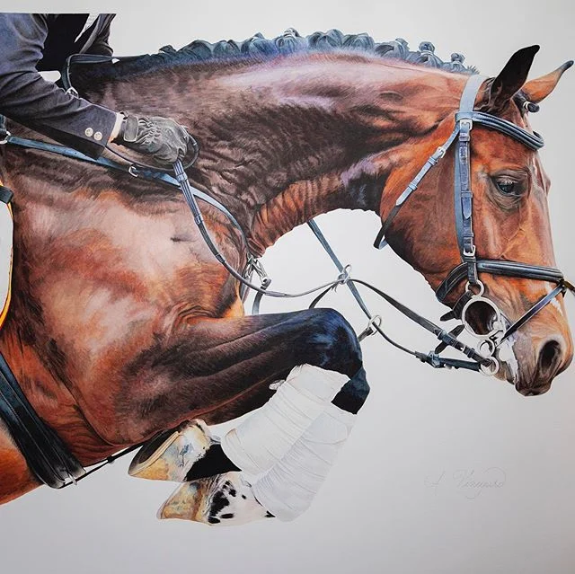 Working on this beauty was pure joy. I loved the energy moving to the right and the bay&rsquo;s kind but determined eyes. So much detail that I mostly used my smallest brush. 😊 
Available for prints. Email me: avine99@gmail.com if interested. Prints