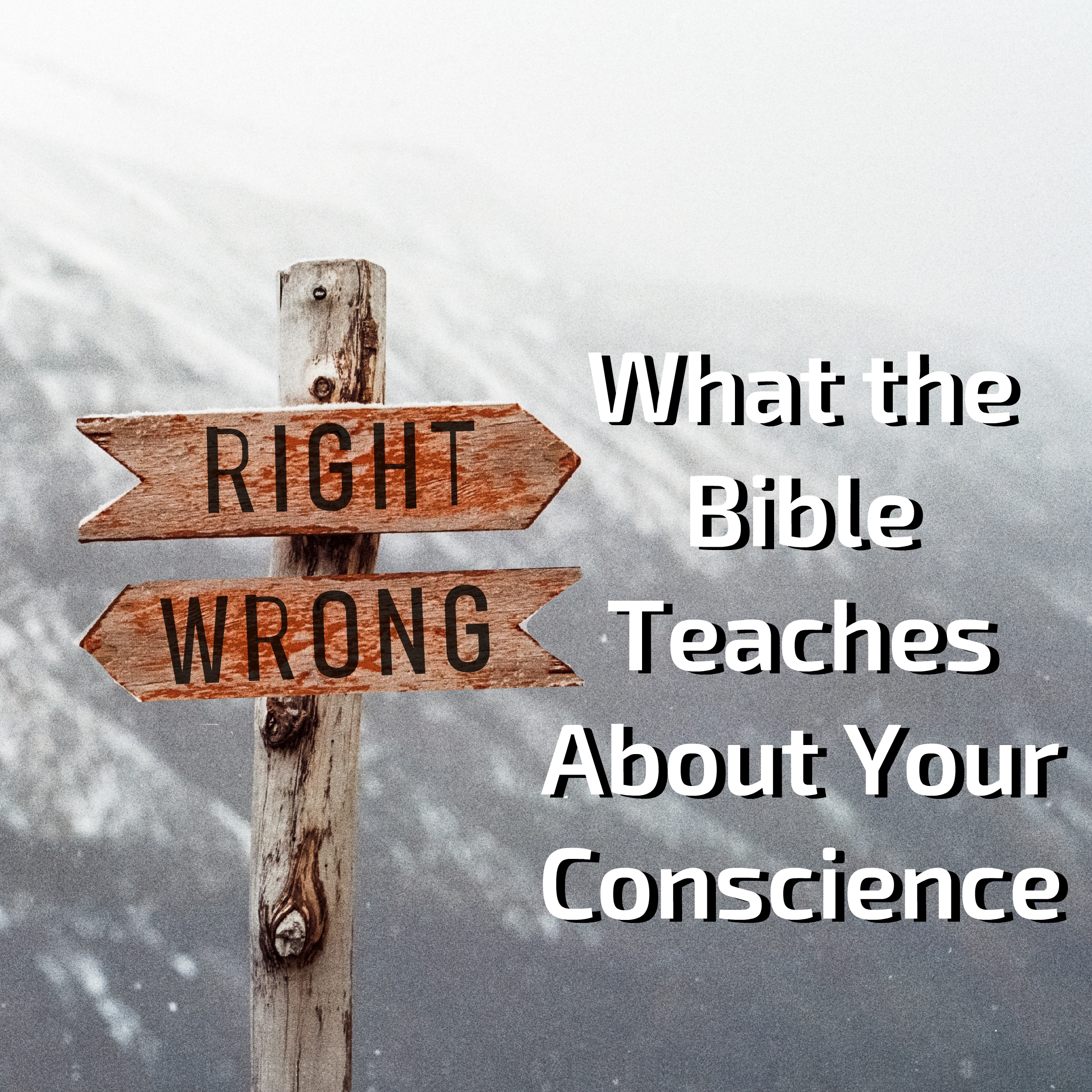 Right and Wrong: What the Bible Teaches About Your Conscience