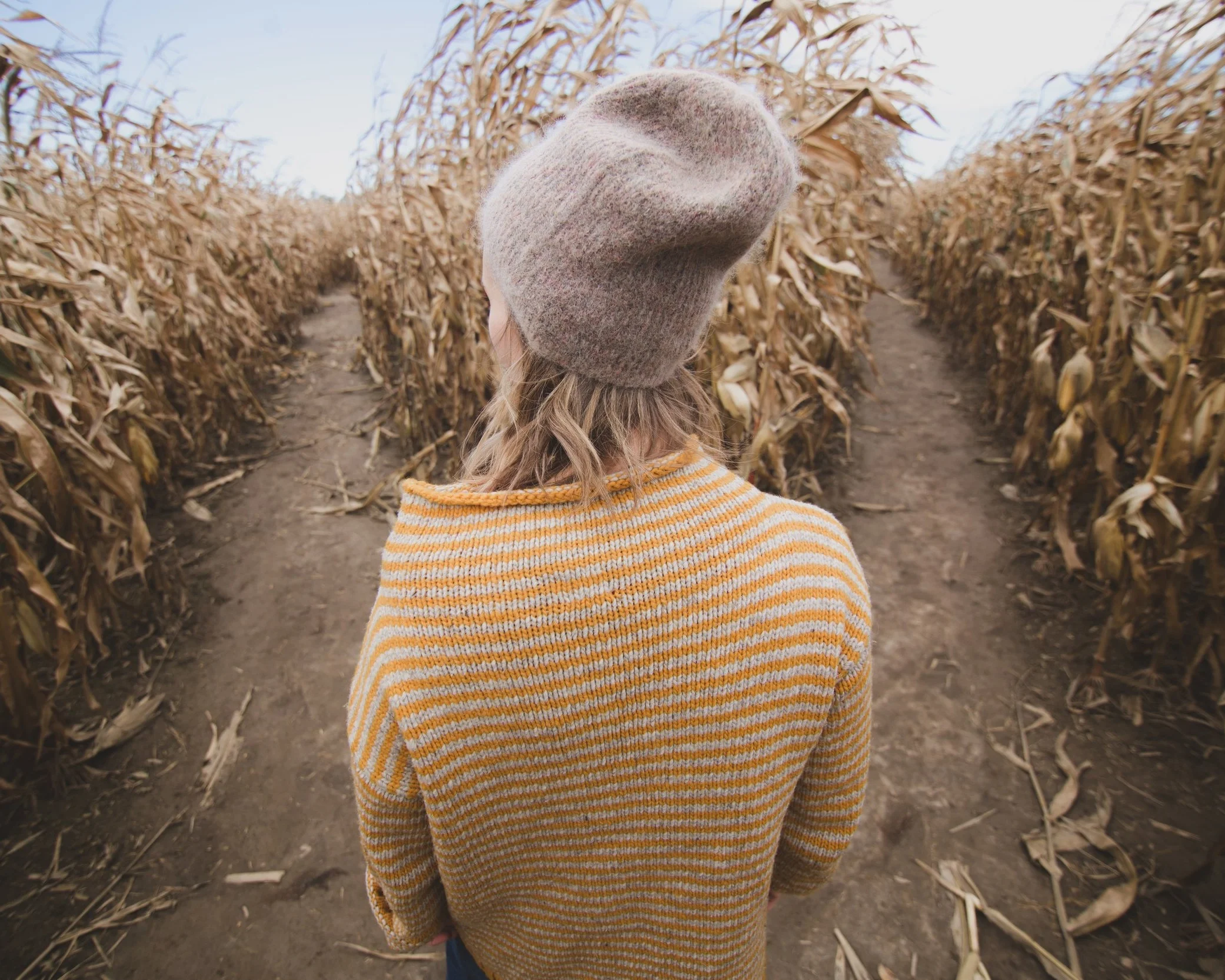 Flashlight Corn Maze