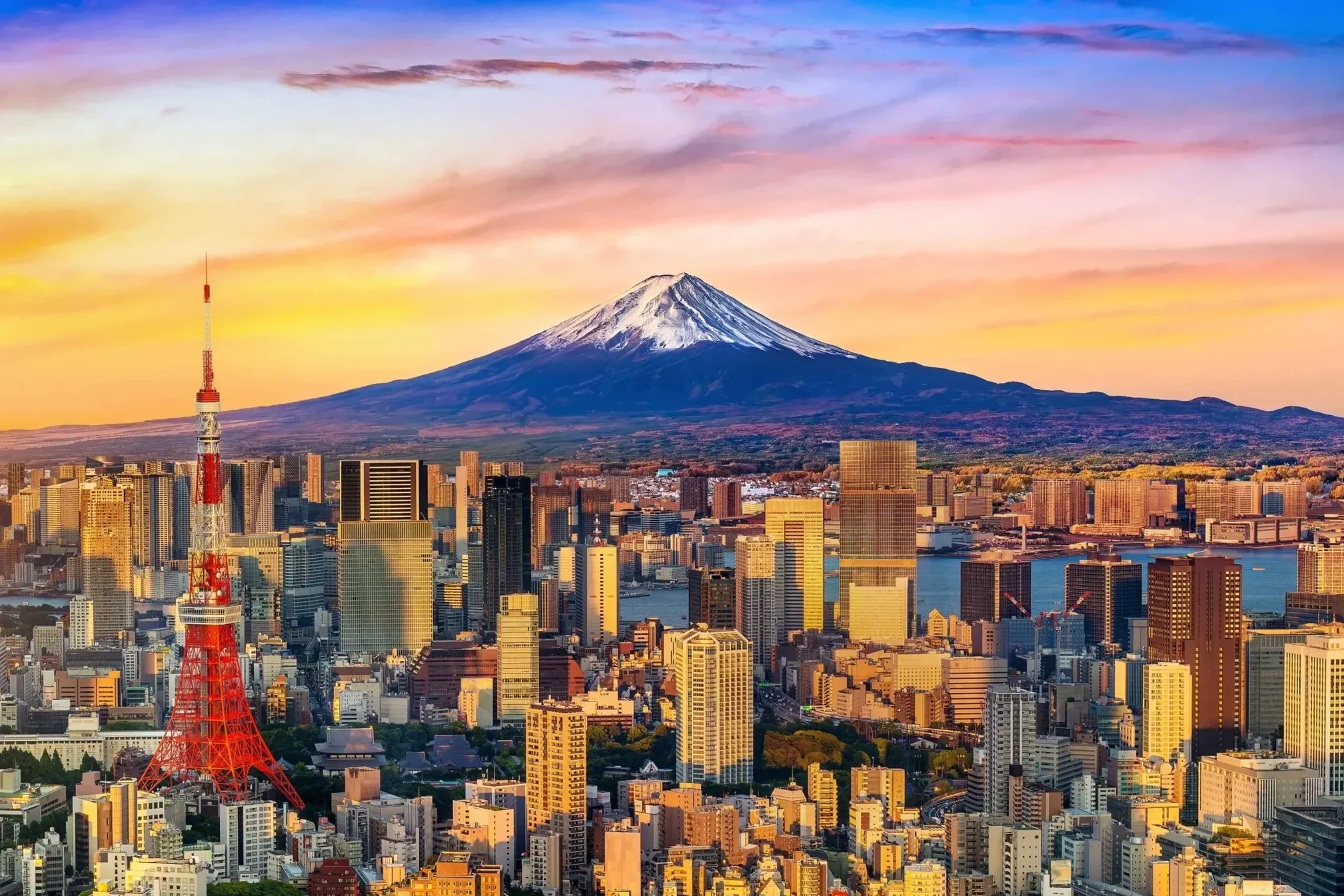 Tokyo 6.webp