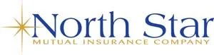 North-Star-sm-300x78.jpg