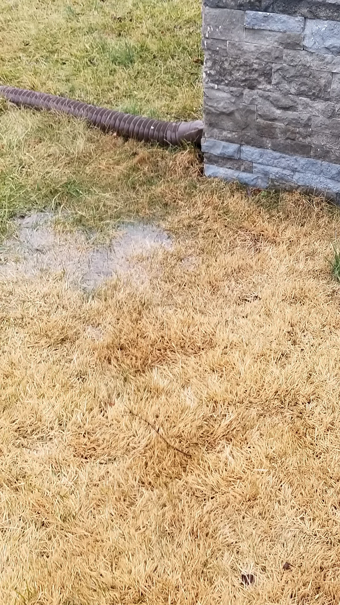 Do you want a MOAT?