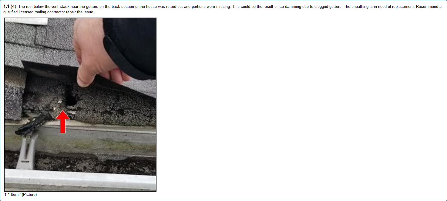 A sample of the roofing section of a report. All pictures have clear description and editing.