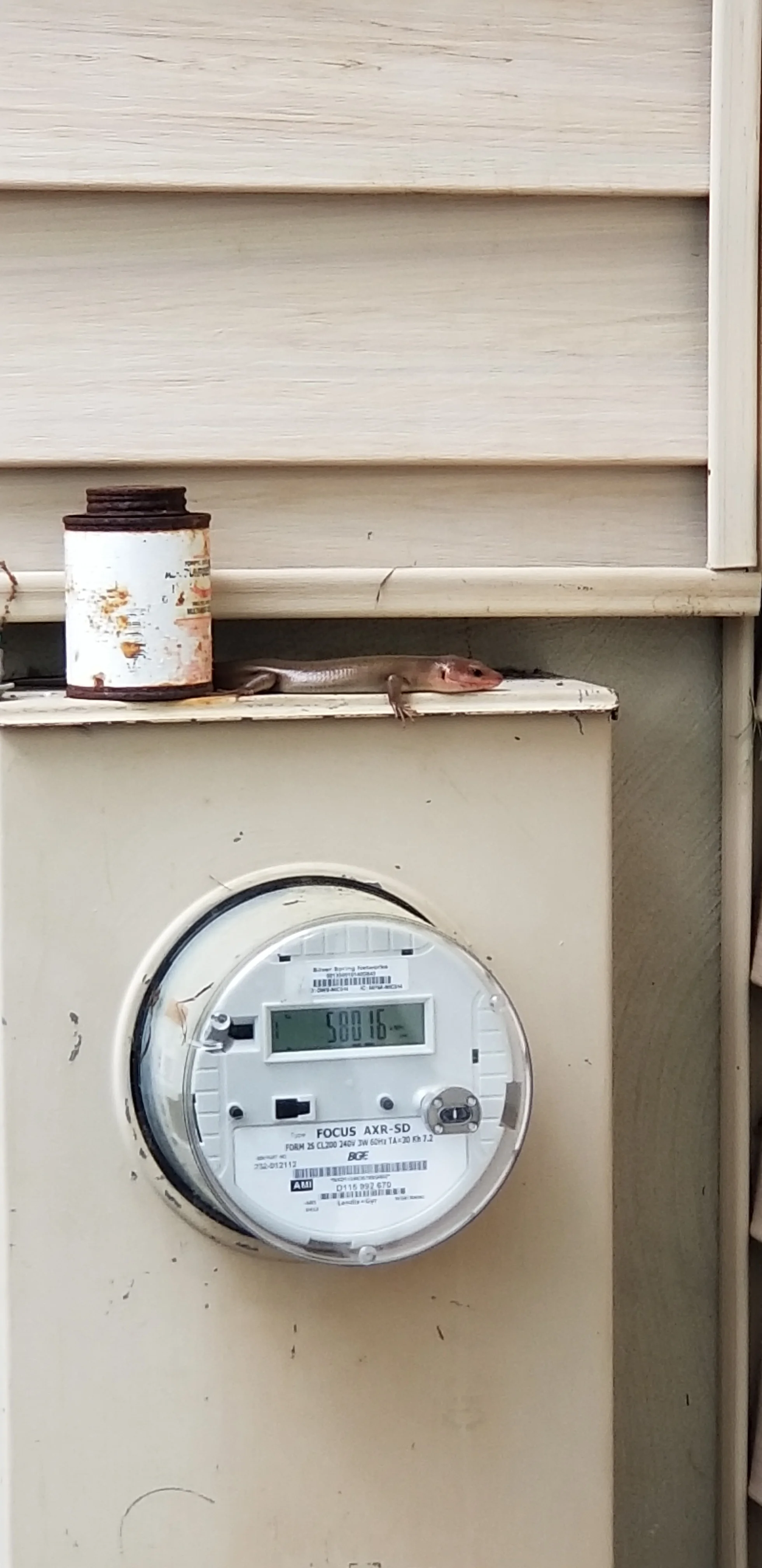 20190517_094037.jpg