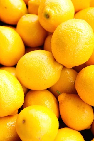 Grocery Store Tour and Support