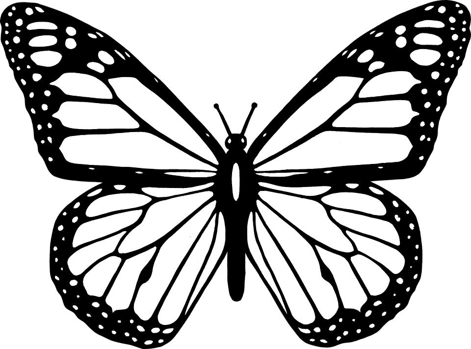 0d9b783119b78ec5b55de9013cf07bc3.png