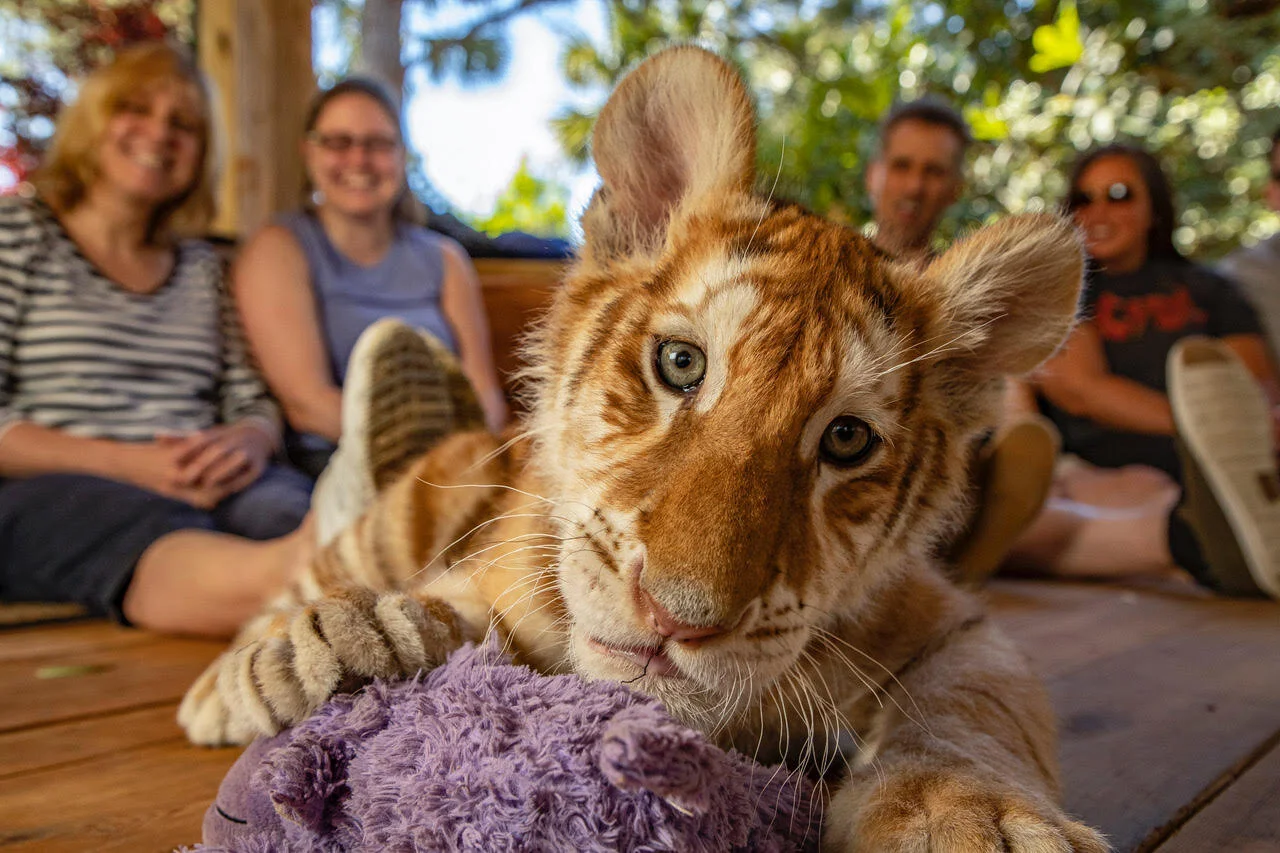 ©Steve Winter/National Geographic